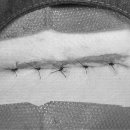 24시 양주 힐 동물의료센터 이미지