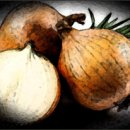 양파모텔 이미지