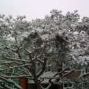 용암초등학교 이미지