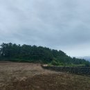 동광리-8 이미지