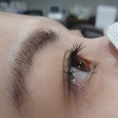 세종세무서 | 망포 병점속눈썹펌 추천 꼼꼼한 세종뷰티수원점