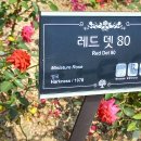 곡성-171 이미지