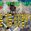 씽씽회센타 이미지