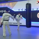 동경태권도 도장 이미지