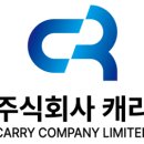 캐리 파이낸셜뉴스