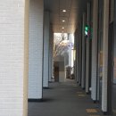 오라봉식당 이미지