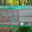 2024.07.21. 장안산(무룡고개~영취산~장안산~하봉~연주마을 8.01km 4h23m)..논산마운틴.. 이미지