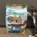 은하메디 네이버블로그