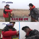 도시어부 MK스포츠