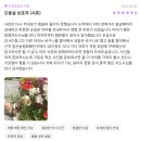 하늘강아지 반려동물 장례식장 | 인천 반려동물 장례식장, 숨은 비용 없는 안전한 선택 (2025 최신 가이드)