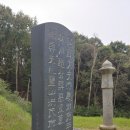추사 김정희 친필 조기복 묘표 이미지