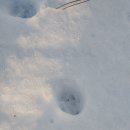 구사경로당 이미지