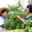 김연화농장 이미지