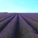 당신이 집에서 논다는 거짓말 이미지