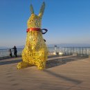 동수작은도서관 | 대구 앞산 큰골의 역사문화자연 유산