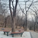 대구 침산공원 북구 8경의 숨은 벚꽃 명소 밤이 더 멋진 야경 포인트