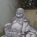 동대구 통천사 방문기 – 구룡산 자락의 맑은 숨결