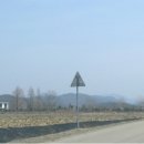 오봉초등학교 이미지