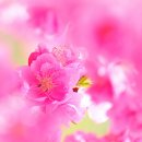 이렇게 좋은날 이미지