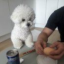 신전떡볶이(아산배방점) 이미지