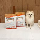 다래동물병원 | 닥터힐메딕스 울트라 500 식이 알러지 강아지 가수분해 사료 추천