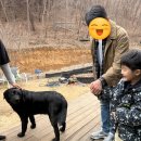 윤상농장 네이버블로그