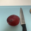 아달달농산