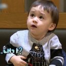 쫄래쫄래 교토토