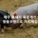 길갈영농조합법인