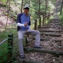 횡성 호수길 1구간 이미지