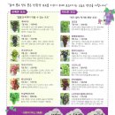 김옥성농장 이미지