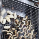 반구정건강 | 파주 장어구이 맛집 추천｜반구정 장어구이 솔직 후기