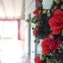 예이츠산장 이미지