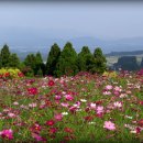 2호선 장산역 12번 출구 이미지