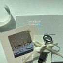 나무 | 본식 dvd "필름나무" 계약 후기 | 노블발렌티 대치 dvd 추천