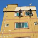 금상로 58번길 이미지