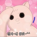 알로하포케
