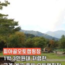 피아골오토캠핑장 | 피아골오토캠핑장 1박 3만원! 계곡 품은 단풍 마운틴뷰 구례 데크캠핑장