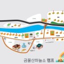 금물산하늘소캠프 이미지