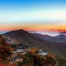 향일암 Daum카페