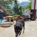 남해화학경산청도대리점 | [경산/대구] 요즘 유행하는 감성 키친 완성 후기(청도군 청도읍 신도 1길 )