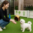 강릉애견하우스 이미지