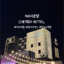 우방아파트 앞 버스정류장(502동 앞) | 대구 달서구 가성비숙소 체리쉬호텔 죽전역점