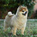 더라온메디칼 이미지