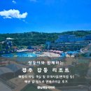 넷패밀리(주) | 가볼 만한 경주 강동 리조트(구 블루원리조트) 패밀리 타입 객실 및 부대시설(편의점 등), 매년 갈 정도...