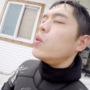오션프리다이빙 네이버블로그