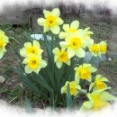 나비랑 한옥 이미지