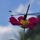 별이 보이는 집 이미지