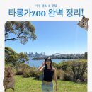 오페라보러화요:박쥐 | 시드니 여행 필수코스 타롱가 주 완벽 정리 | 입장권 할인 버드쇼 꿀팁 인생샷 스팟 쿼카