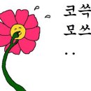 웅비성